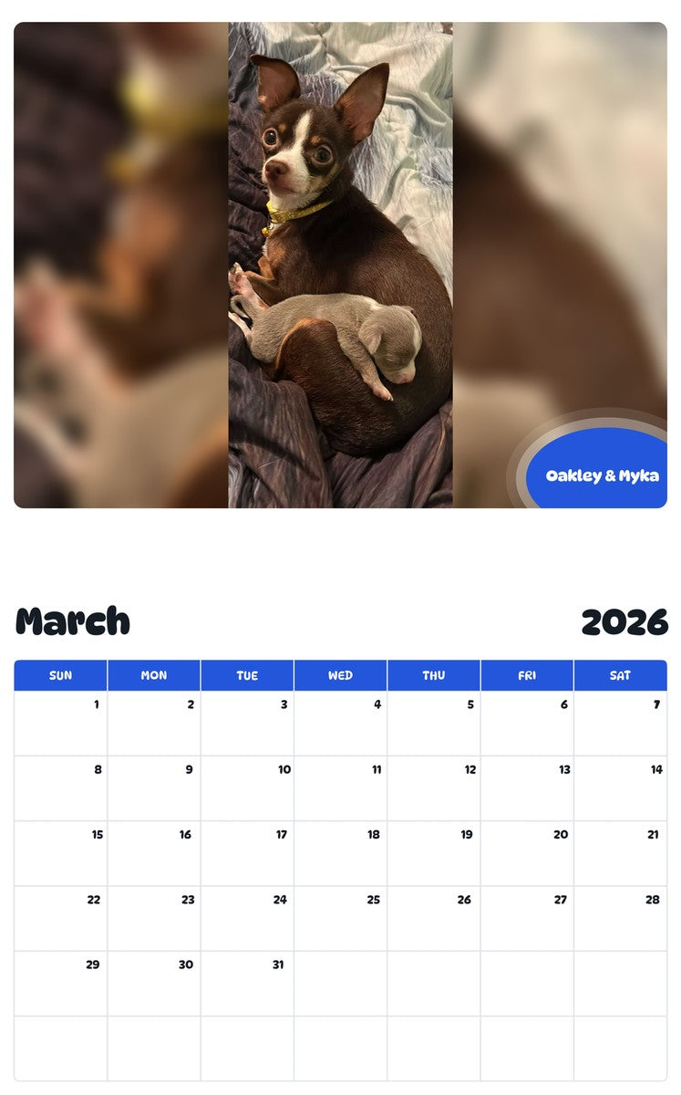 November 2025 - October 2026 Oakley & Myka - Pawidols Pet Calendar