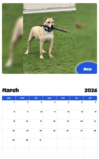 November 2025 - October 2026 Neo - Pawidols Pet Calendar