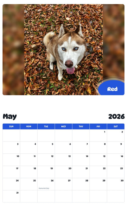 2026 - 2027 Red - Pawidols Pet Calendar
