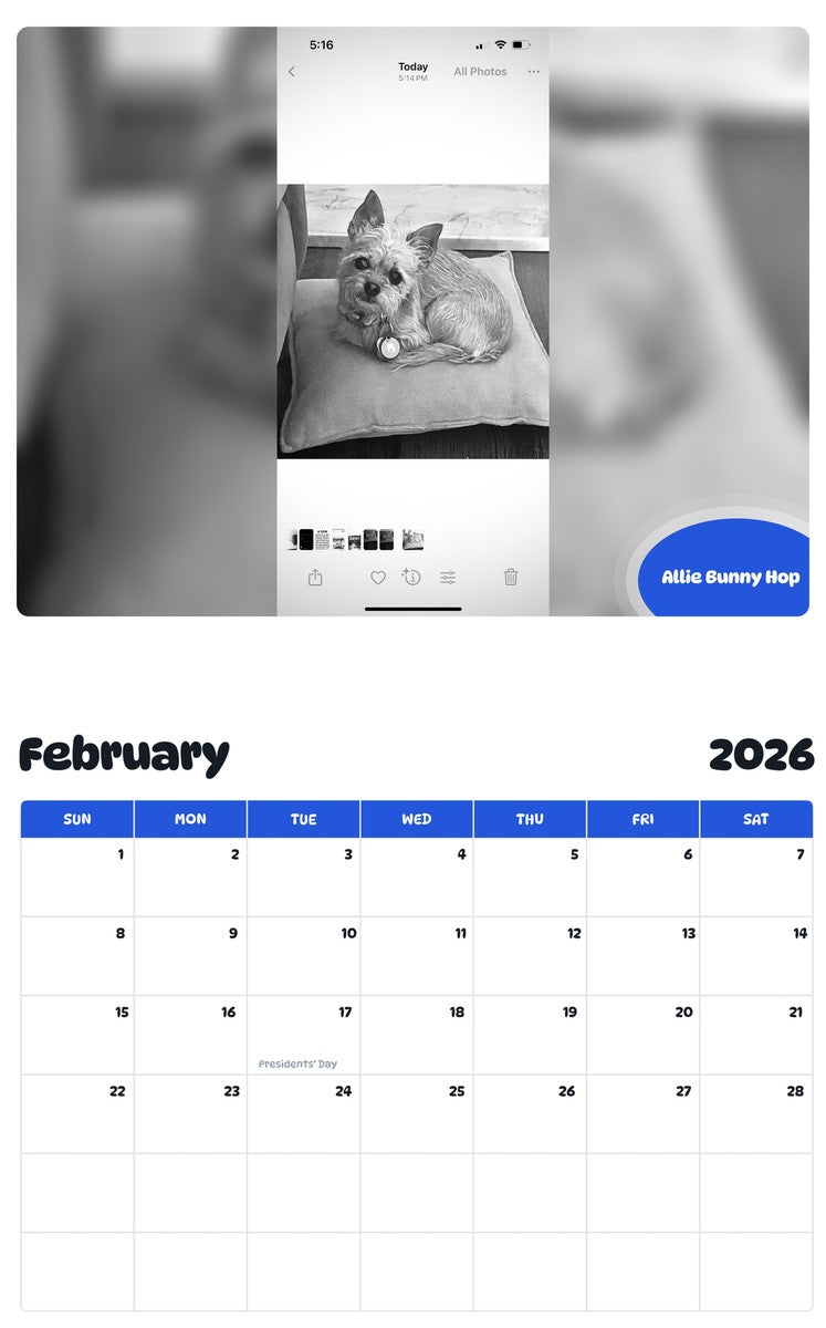October 2025 - September 2026 Allie Bunny Hop - Pawidols Pet Calendar
