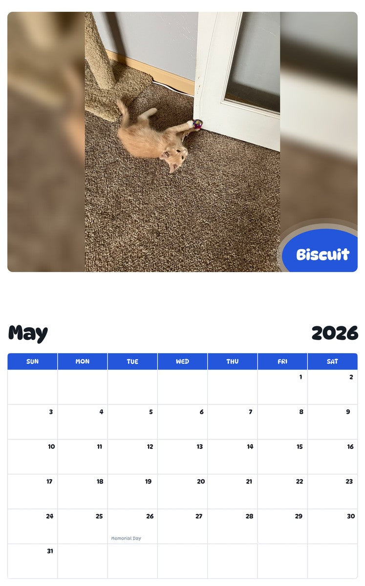 2026 - 2027 Biscuit - Pawidols Pet Calendar