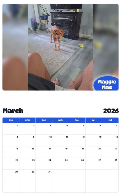 November 2025 - October 2026 Maggie Mae - Pawidols Pet Calendar