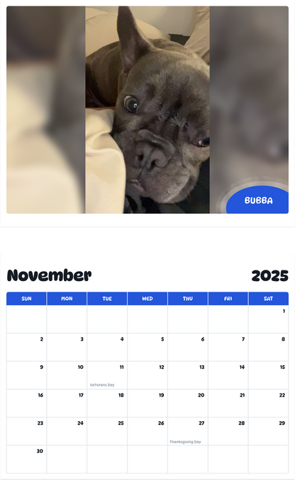 July 2025 - June 2026 Bubba - Pawidols Pet Calendar
