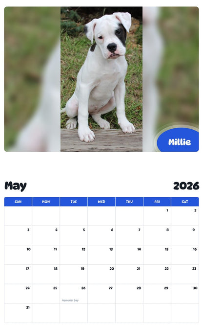 2026 - 2027 Millie - Pawidols Pet Calendar