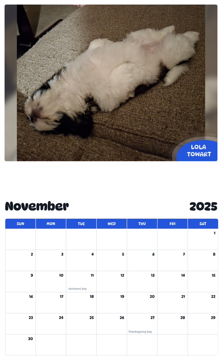 July 2025 - June 2026 Lola towart - Pawidols Pet Calendar