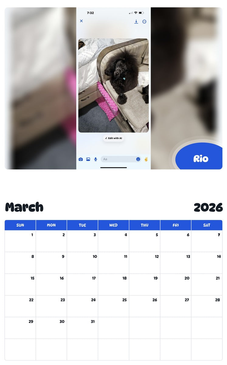 November 2025 - October 2026 Rio - Pawidols Pet Calendar