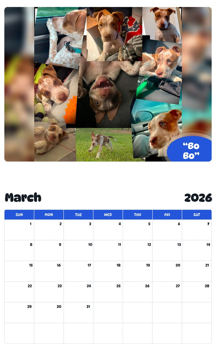November 2025 - October 2026 “Bo Bo” - Pawidols Pet Calendar