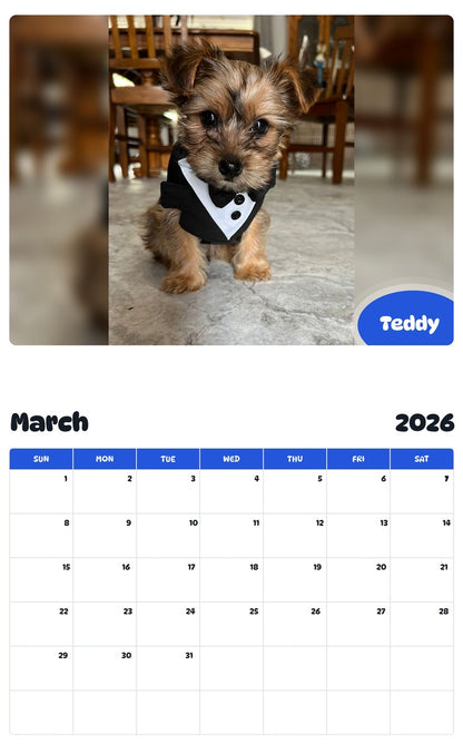 November 2025 - October 2026 Teddy - Pawidols Pet Calendar