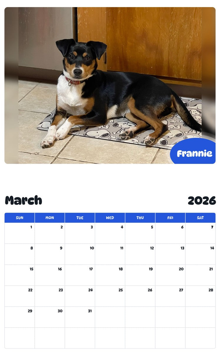 November 2025 - October 2026 Frannie - Pawidols Pet Calendar
