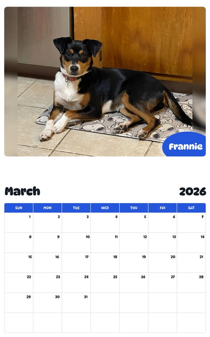 November 2025 - October 2026 Frannie - Pawidols Pet Calendar