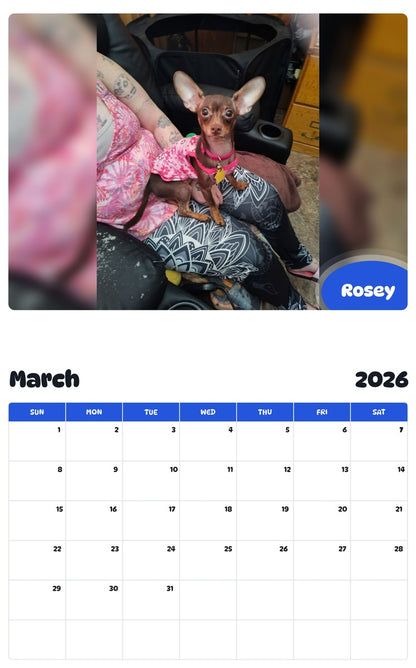 November 2025 - October 2026 Rosey - Pawidols Pet Calendar