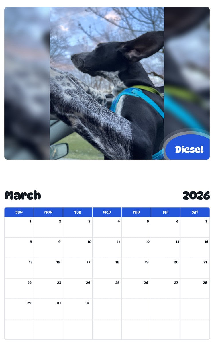 November 2025 - October 2026 Diesel - Pawidols Pet Calendar