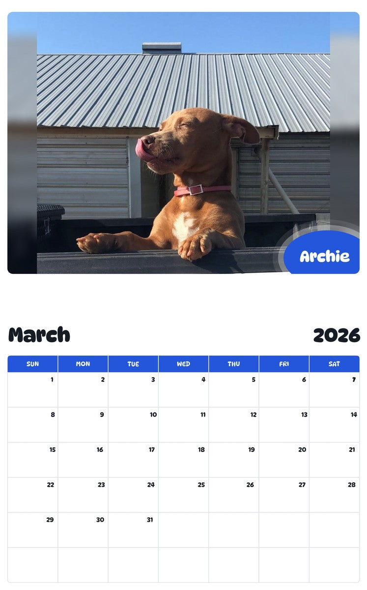 November 2025 - October 2026 Archie - Pawidols Pet Calendar