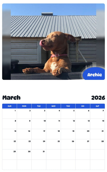 November 2025 - October 2026 Archie - Pawidols Pet Calendar