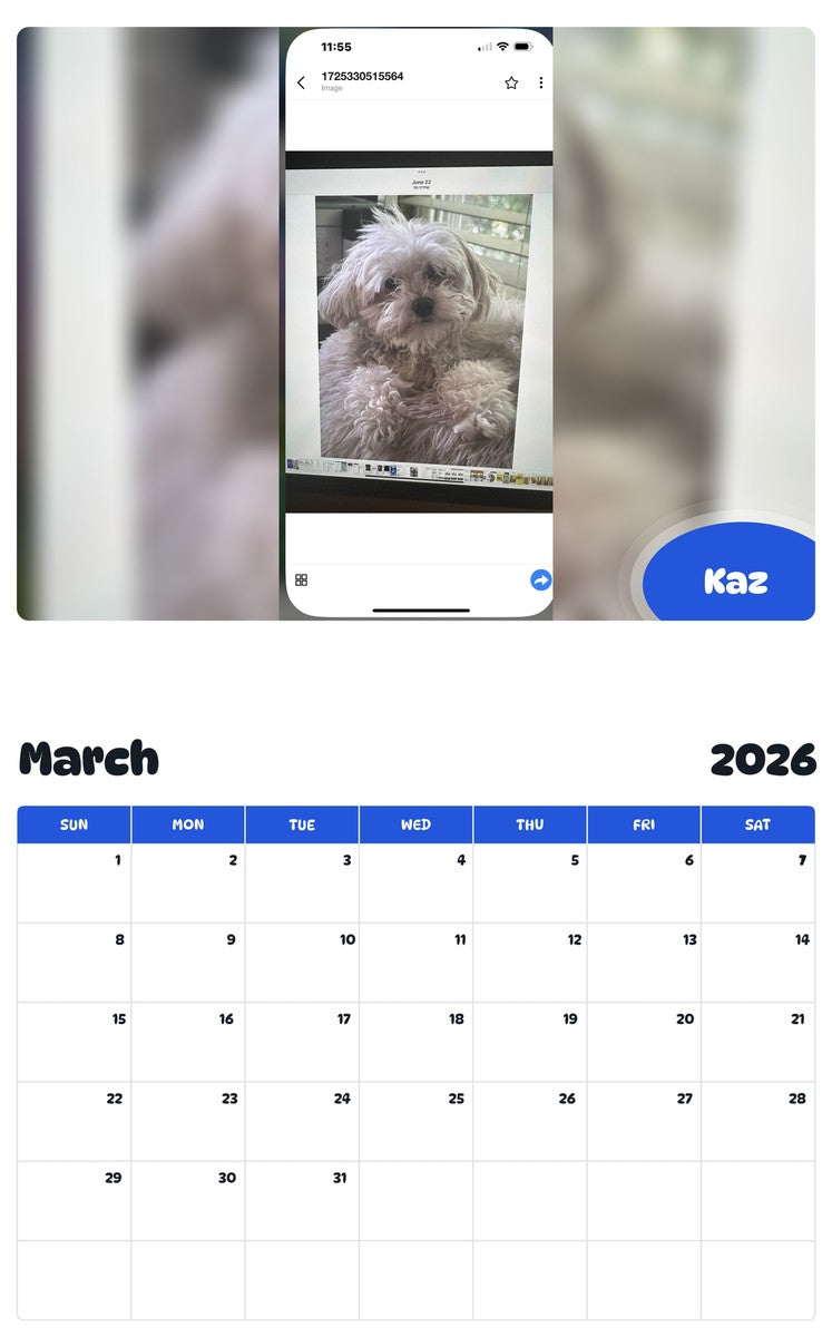 November 2025 - October 2026 Kaz - Pawidols Pet Calendar