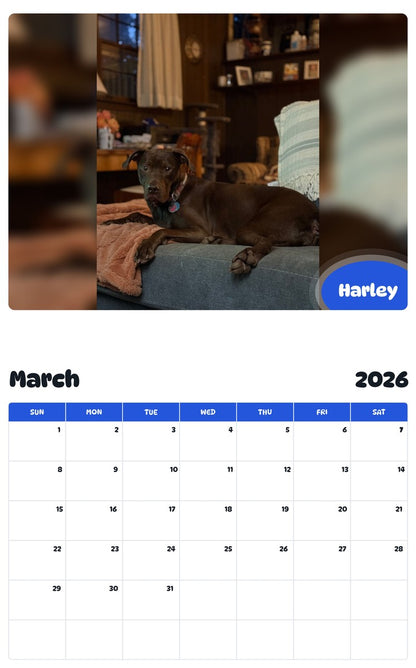 November 2025 - October 2026 Harley - Pawidols Pet Calendar