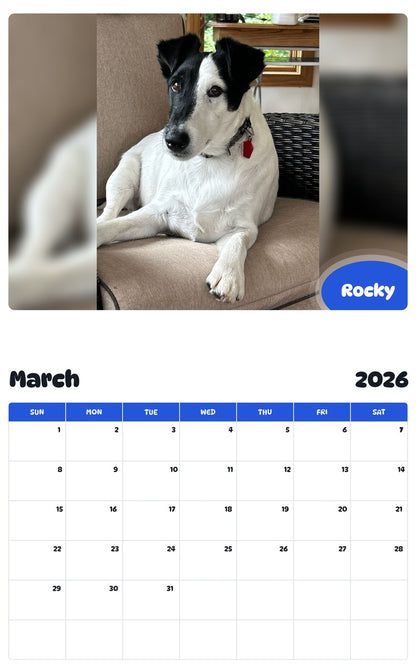 November 2025 - October 2026 Rocky - Pawidols Pet Calendar
