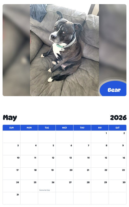 2026 - 2027 Bear - Pawidols Pet Calendar