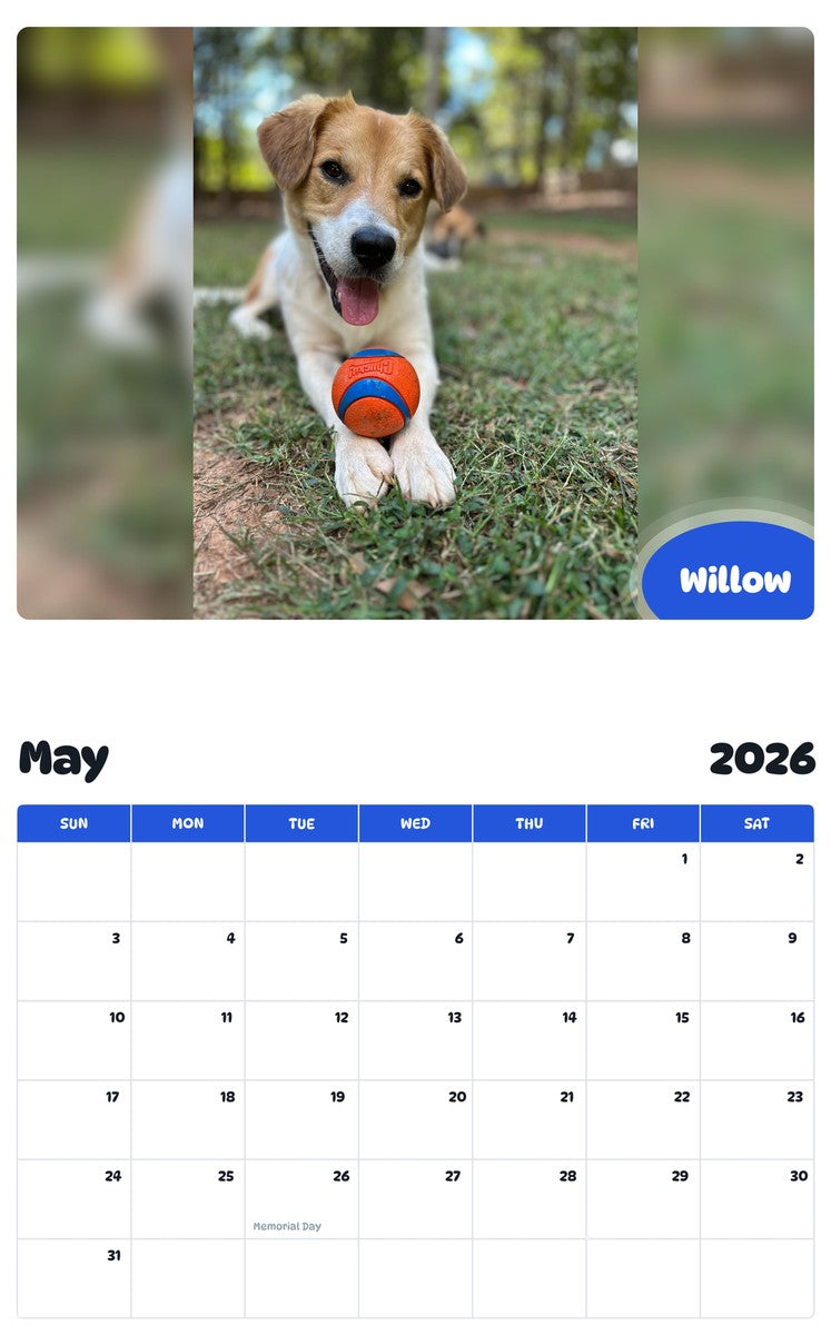 2026 - 2027 Willow - Pawidols Pet Calendar