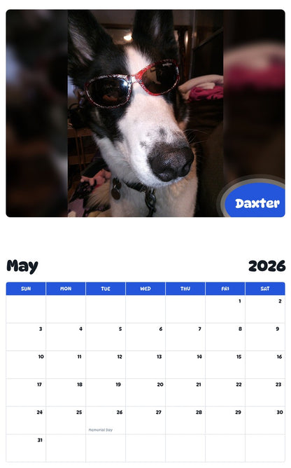 2026 - 2027 Daxter - Pawidols Pet Calendar