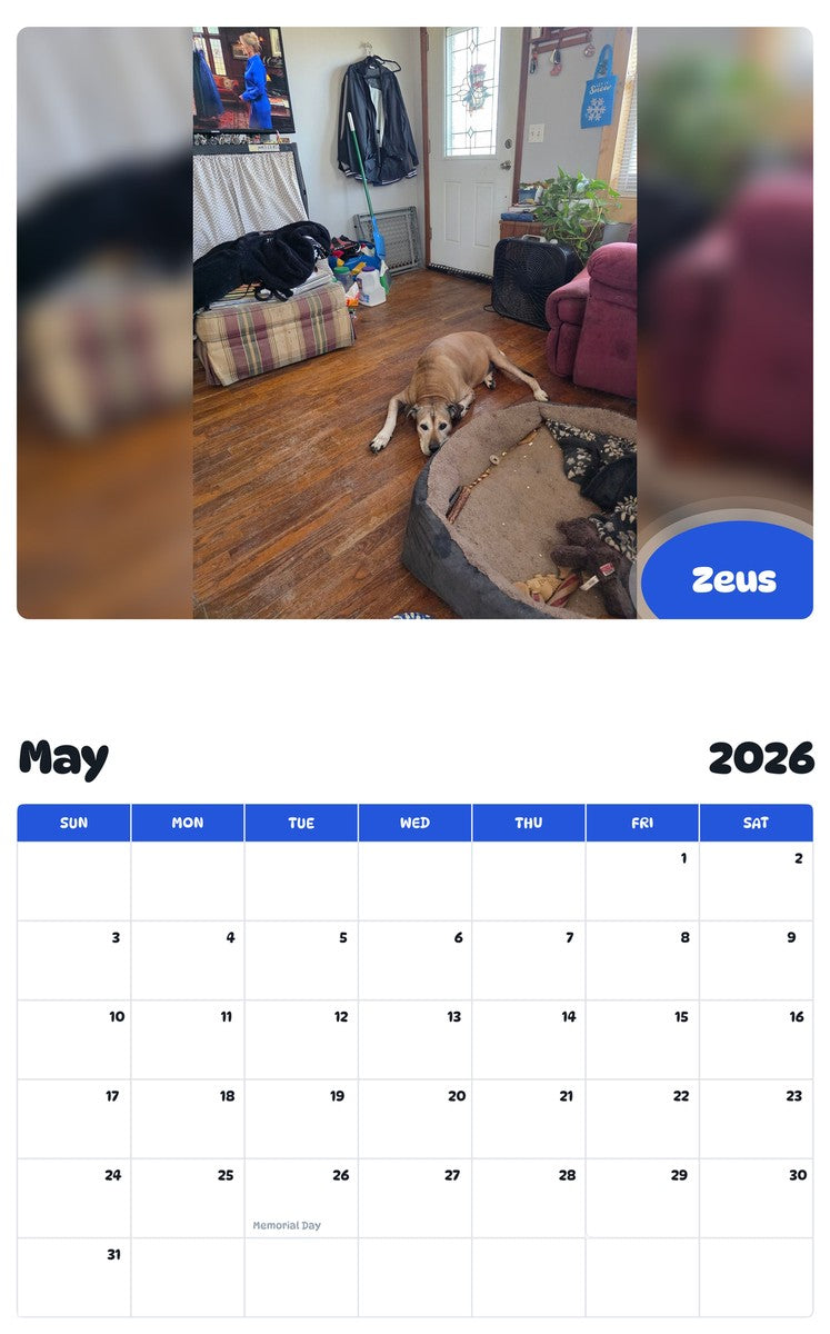 2026 - 2027 Zeus - Pawidols Pet Calendar