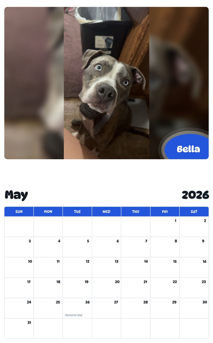 2026 - 2027 Bella - Pawidols Pet Calendar