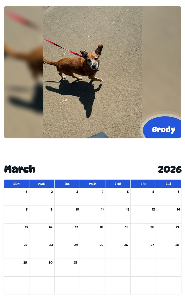 November 2025 - October 2026 Brody - Pawidols Pet Calendar