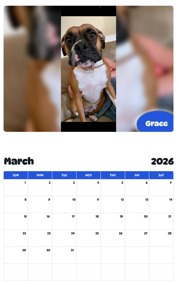 November 2025 - October 2026 Grace - Pawidols Pet Calendar