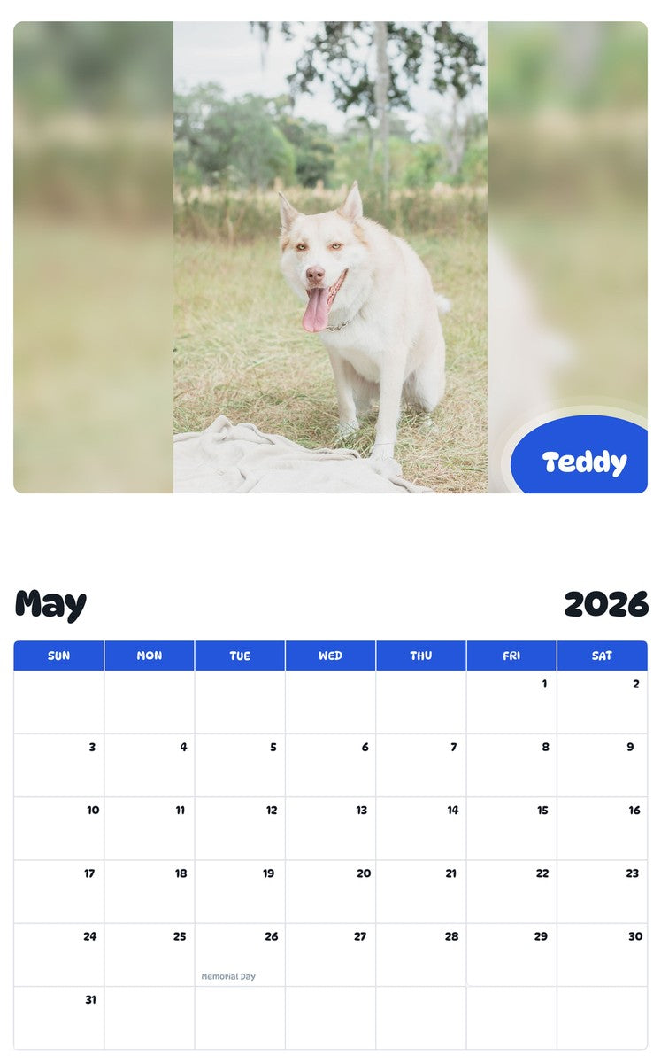 2026 - 2027 Teddy - Pawidols Pet Calendar