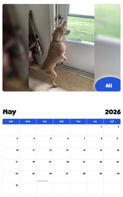 2026 - 2027 Ali - Pawidols Pet Calendar