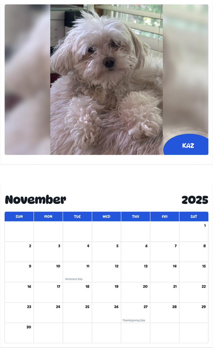 July 2025 - June 2026 Kaz - Pawidols Pet Calendar