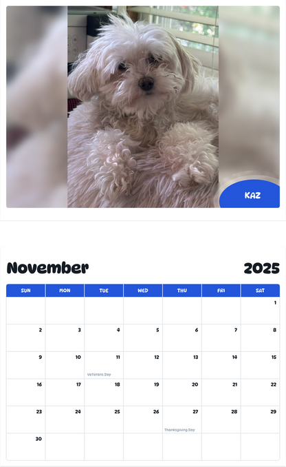 July 2025 - June 2026 Kaz - Pawidols Pet Calendar