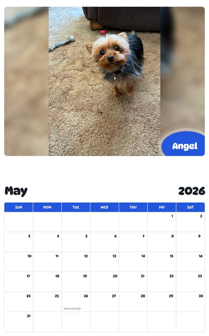 2026 - 2027 Angel - Pawidols Pet Calendar