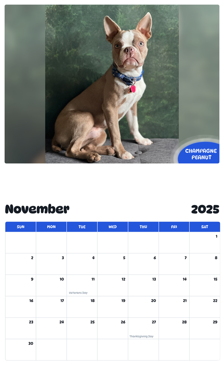 July 2025 - June 2026 Champagne Peanut - Pawidols Pet Calendar
