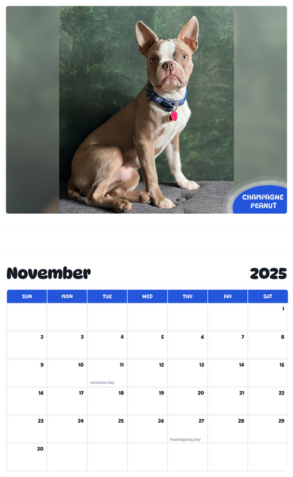 July 2025 - June 2026 Champagne Peanut - Pawidols Pet Calendar