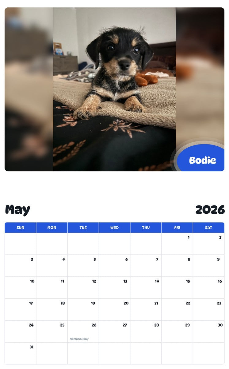 2026 - 2027 Bodie - Pawidols Pet Calendar