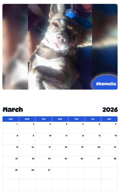 November 2025 - October 2026 Chamelle - Pawidols Pet Calendar