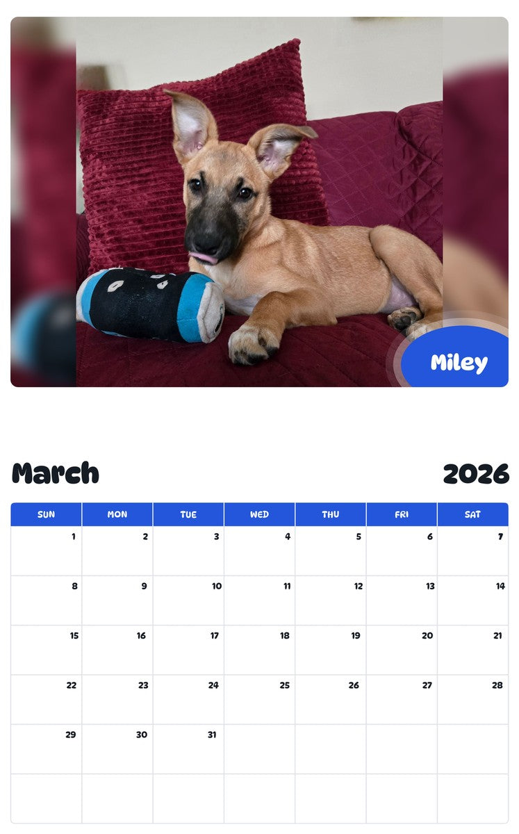 November 2025 - October 2026 Miley - Pawidols Pet Calendar