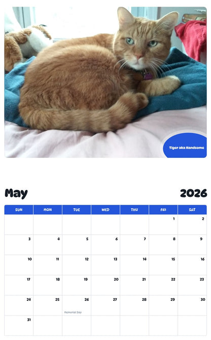 2026 - 2027 Tiger aka Handsome - Pawidols Pet Calendar