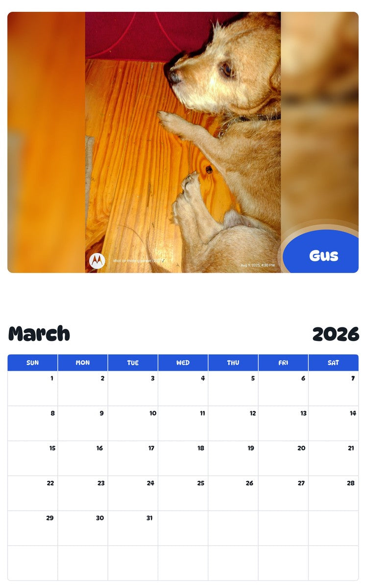 November 2025 - October 2026 Gus - Pawidols Pet Calendar
