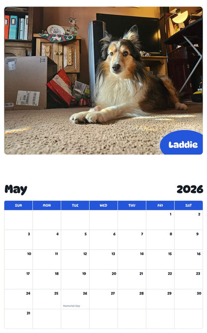 2026 - 2027 Laddie - Pawidols Pet Calendar