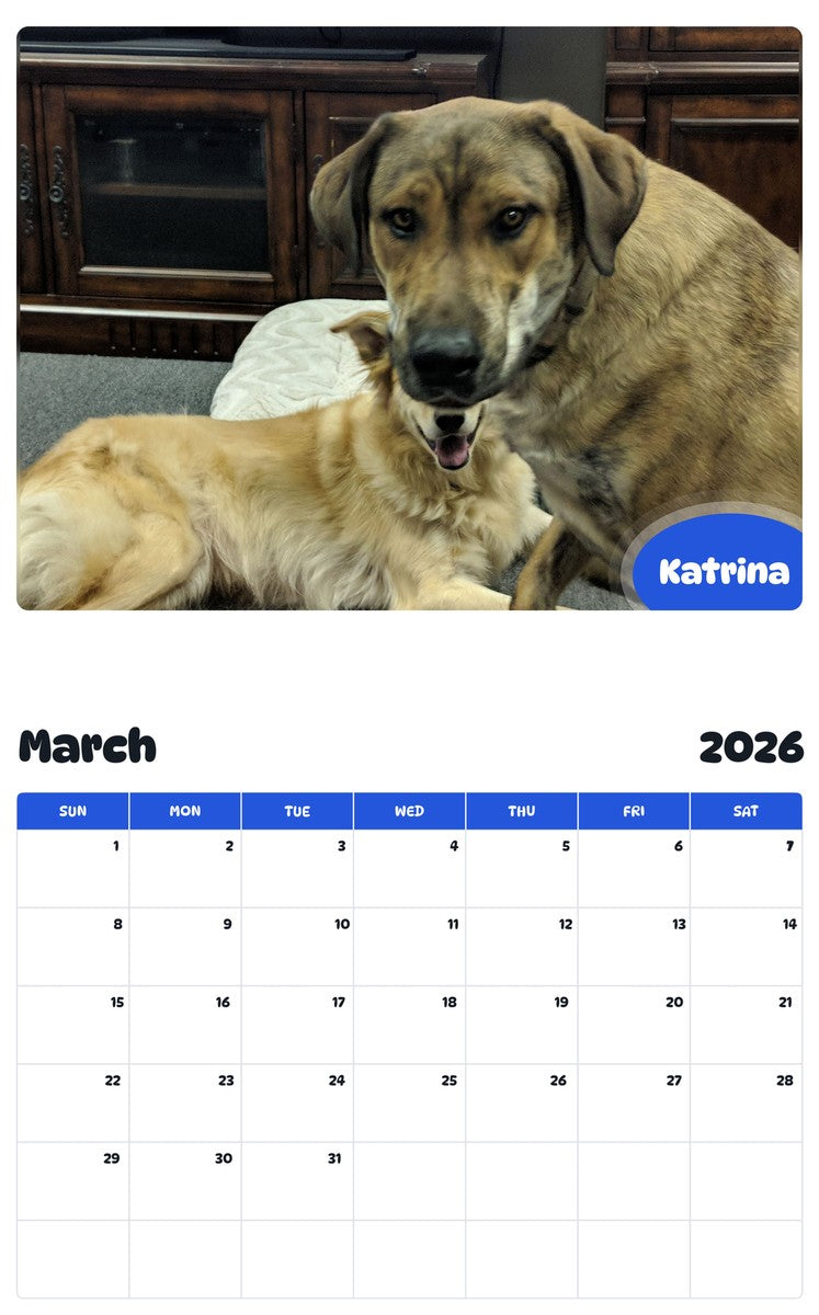 November 2025 - October 2026 Katrina - Pawidols Pet Calendar