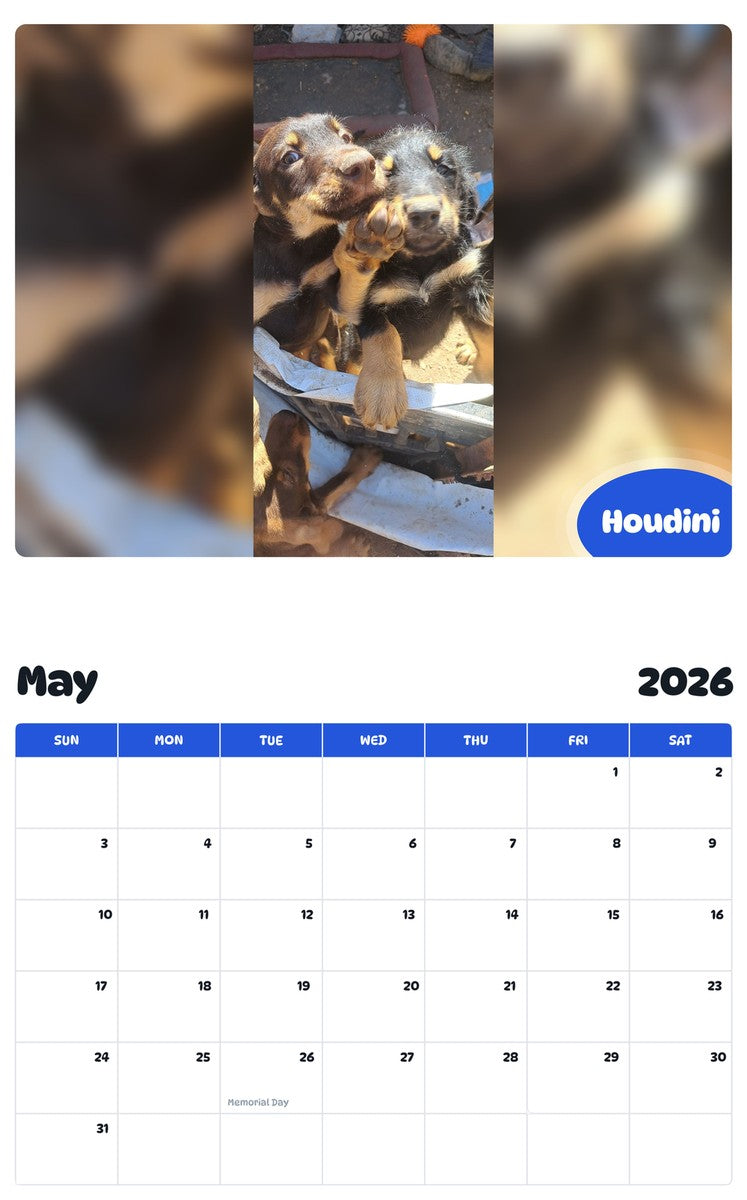 2026 - 2027 Houdini - Pawidols Pet Calendar