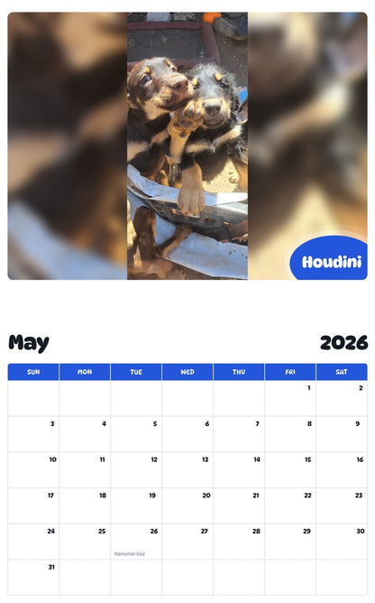 2026 - 2027 Houdini - Pawidols Pet Calendar