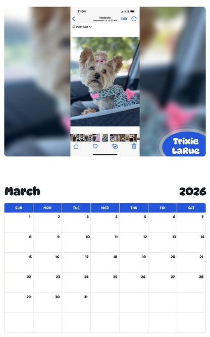 November 2025 - October 2026 Trixie LaRue - Pawidols Pet Calendar