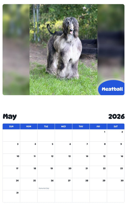 2026 - 2027 Meatball - Pawidols Pet Calendar
