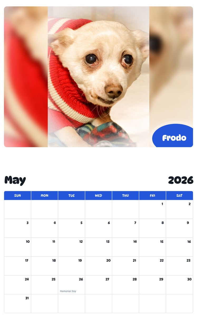 2026 - 2027 Frodo - Pawidols Pet Calendar