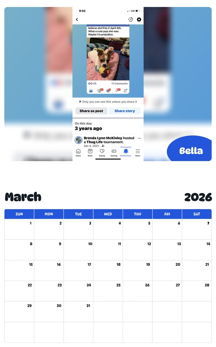 November 2025 - October 2026 Bella - Pawidols Pet Calendar