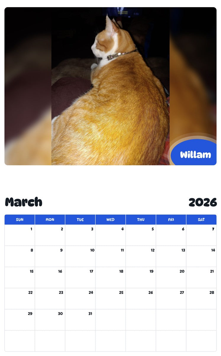 November 2025 - October 2026 Willam - Pawidols Pet Calendar
