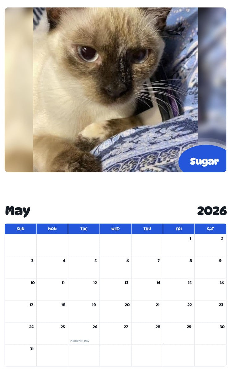 2026 - 2027 Sugar - Pawidols Pet Calendar